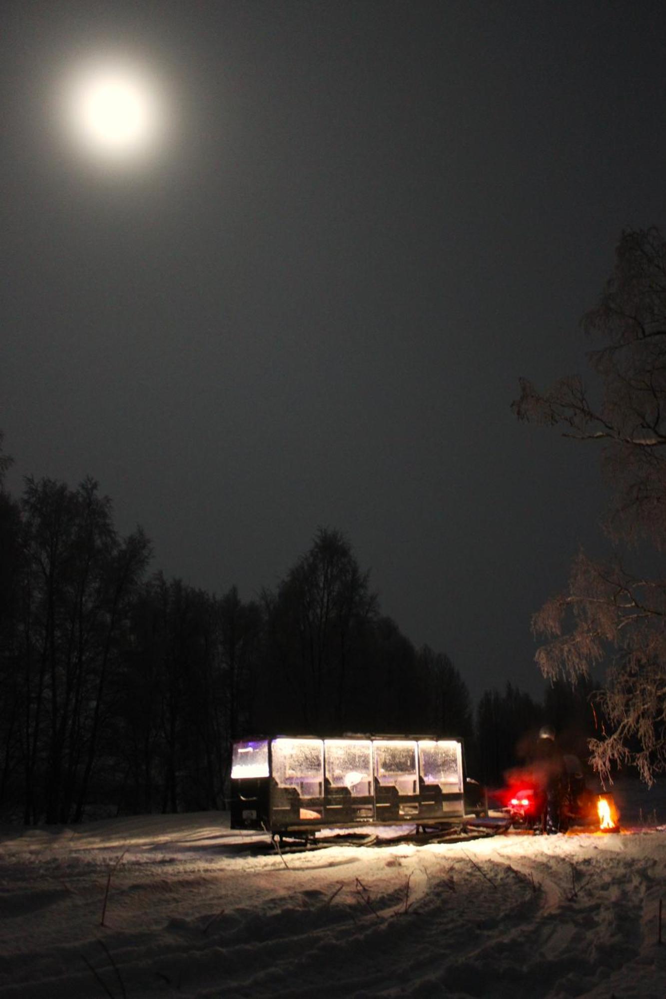 Koivikko Rovaniemi