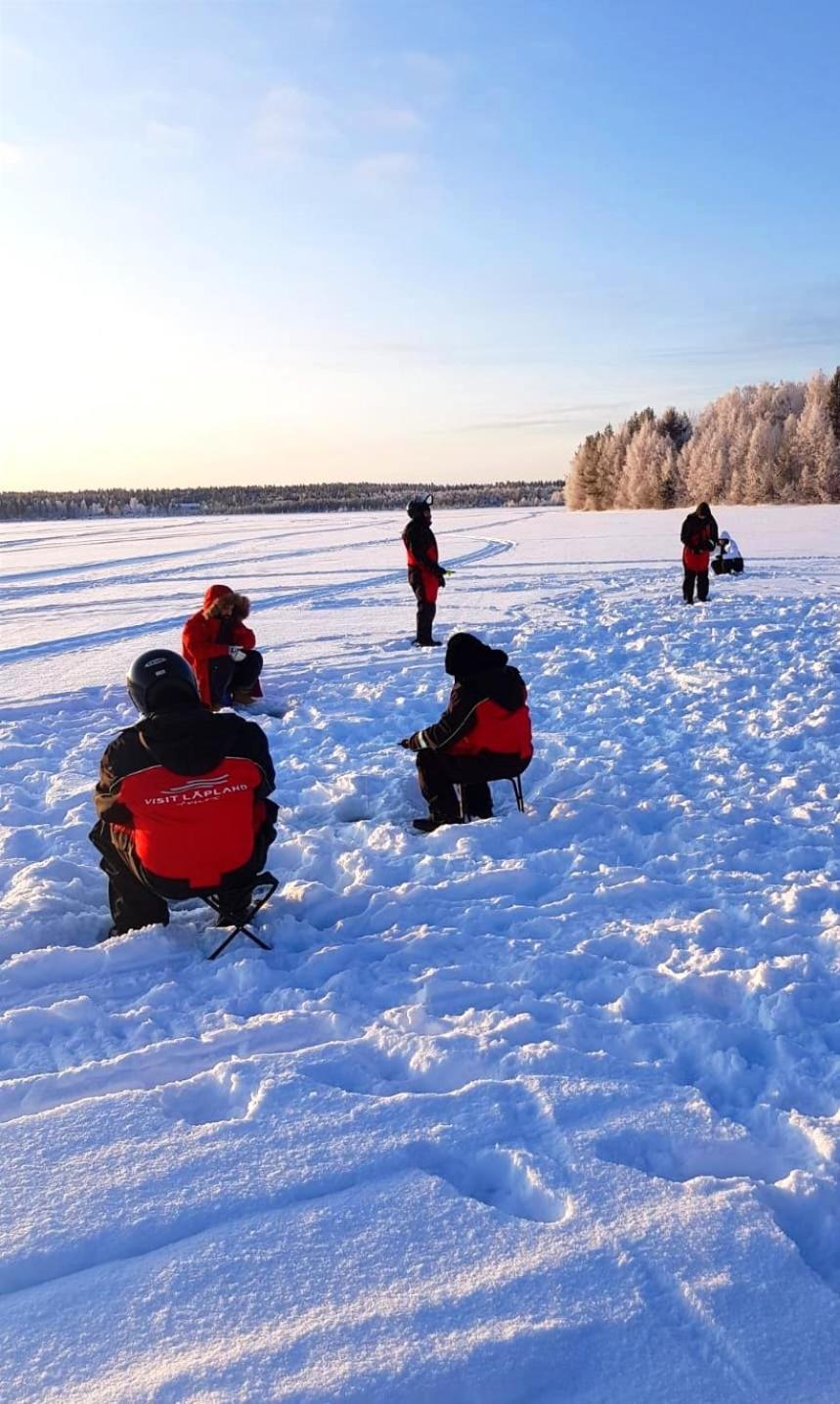 Hébergement de vacances Koivikko Rovaniemi